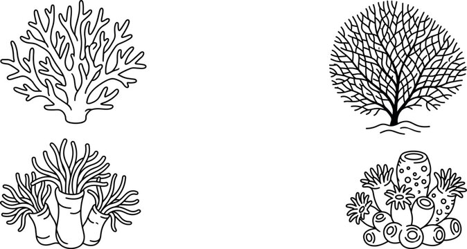 Coral reef and marine life line art collection featuring sea anemone tube sponge fan coral underwater vector illustrations