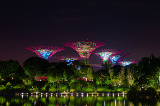 Singapore - January 18, 2018: Supertree Grove trees illuminated at night in the Gardens by the Bay, Marina Bay area. Vertical gardens resembling towering trees