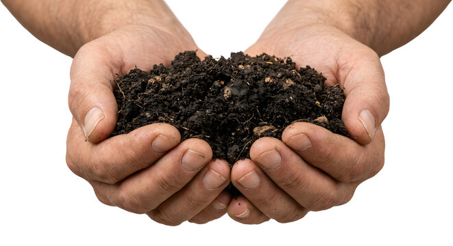 Two cupped hands holding handful of rich fertile soil