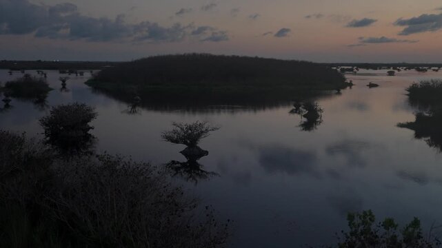 Mangrove trees form dark silhouettes in calm shallow water at sunset. Reflections, clouds, wetlands, and orange evening light create a quiet coastal nature landscape.