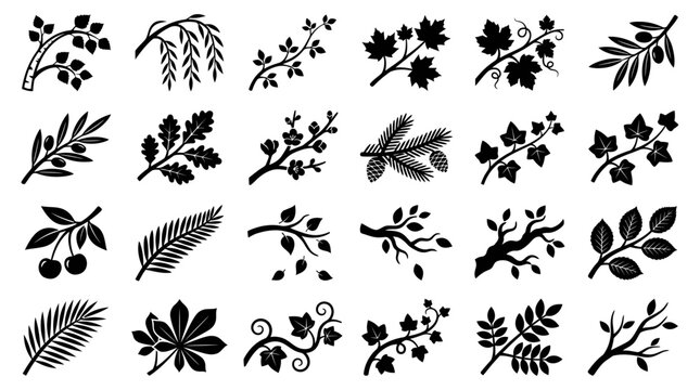 Collection of tree branch and leaf silhouette icons featuring maple, oak, olive, cherry, fern, and palm isolated on white background