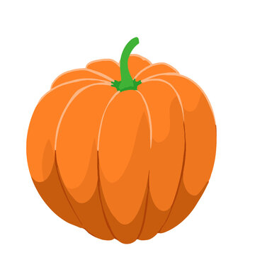 Orange pumpkin squash isometric
