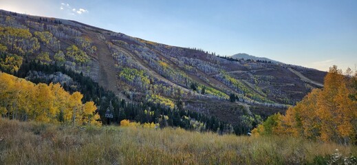 Fototapeta premium autumn trees at park city utah