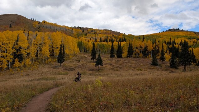 woman mountain biking in autumn
