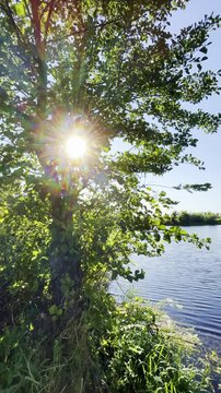 A peaceful summer day along the Sula River features lush greenery, calm waters and picturesque natural scenery in Poltava region, Ukraine

