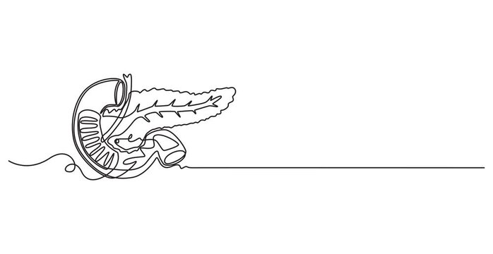 pancreas continuous one line drawing, Human pancreas one line art. Continuous line drawing of human, internal, organs, pancreas, full length animation video, motion graphic, Pancreas organ icon line