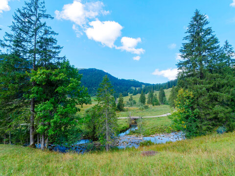 The Rote Valepp mountain stream in the Bavarian Alps originates at Lake Spitzingsee and joins the Wei&szlig;e Valepp near the Valepp forest refuge