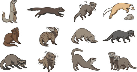 Obraz premium Weasel Ferret Marten Cartoon Animal Set in Different Poses Running Sniffing Stretching and Playing Vector Illustration Collection