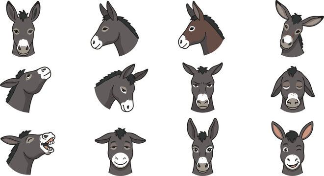 Donkey Face Head Set with Funny Expressions Front and Side View Gray Cartoon Vector Illustration Collection
