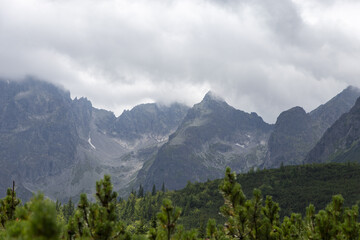 Fototapeta premium Felsiger Berggipfel im Nebel unter bedecktem Himmel