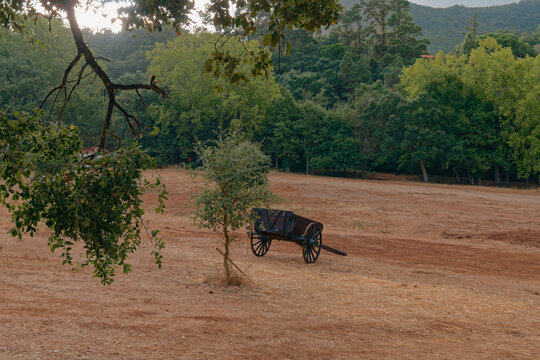 Traditional Wooden Farm Cart in Rural Landscape of Gran Canaria, Canary Islands