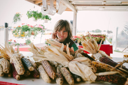 Little Girl With Autumn Corn