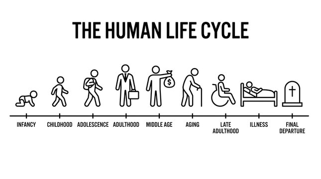 Human life cycle infographic with linear icons, aging process from infancy to final departure, stages of life timeline for education and healthcare