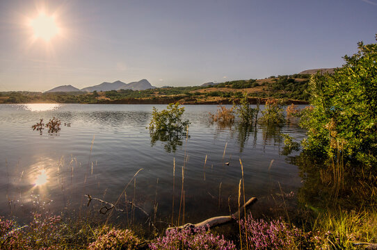 Scenic view of a peaceful mountain reservoir with sun flare reflection on calm water and natural vegetation in Palencia, Spain
