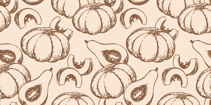 Vector background whole pumpkins and slices. Seamless pattern in an engraving style. Hand drawn illustration for Thanksgiving and Halloween. Vintage element. Linear ink drawing of autumn gourd.