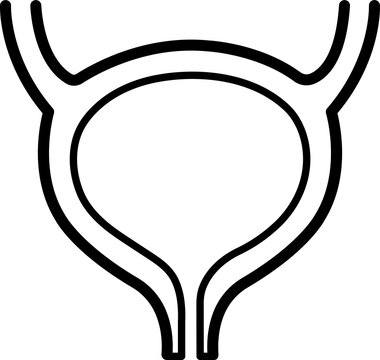 Black outline icon of the human urinary bladder isolated on transparent background