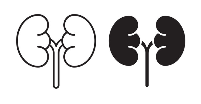 kidney icons in fill and stroke style on white background