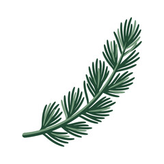 Obraz premium Vintage fir branch illustration, retro coniferous twig design, retro pine sprig with dark green needles, shaded botanical botanical drawing, old school needle leaf shape