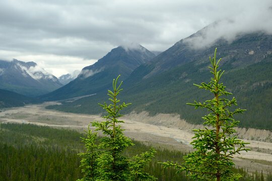 The braided look of the McDonald Creek with silt-laden Glacier runoff