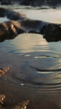 Vertical video: Dropping droplet sending ripples in tidal pool on ridged sand pulling water inward