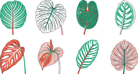 Collection of hand drawn tropical leaves and botanical line art illustrations in green and pink © Md