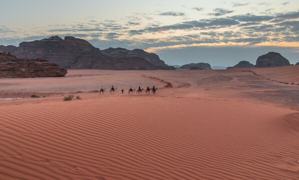 View of people riding camels across the red sand dunes of the Wadi Rum Protected Area at sunset, with rocky mountains in the background, Wadi Rum Village, Aqaba Governorate, Jordan.