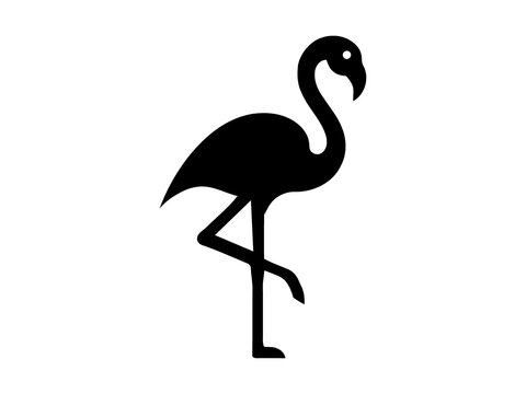 A black flamingo vector illustration with a distinctive silhouette against a white background avian bird