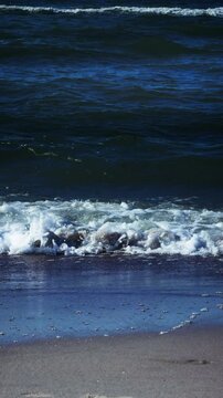 Baltic Sea waves crashing sandy beach foam. Dynamic coastal scene capturing rolling tides and natural water movement along shoreline