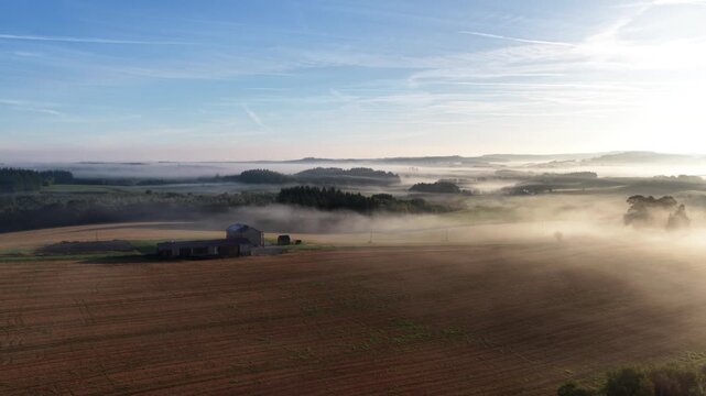 Morning sunlight illuminates a rural farm landscape covered in thick ground fog