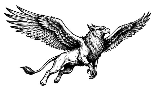 Flying Gryphon with Spread Wings &ndash; Dynamic Hand Drawn Mythological Vector
