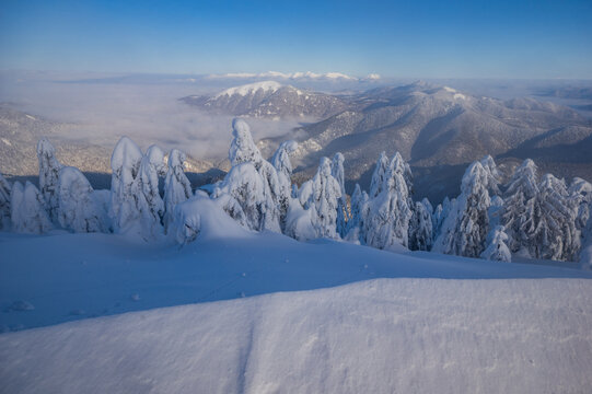 View of Borisov mountain peak surrounded by snow-covered pine trees and winter landscape in Velka Fatra mountains, Zilina Region, Slovakia.