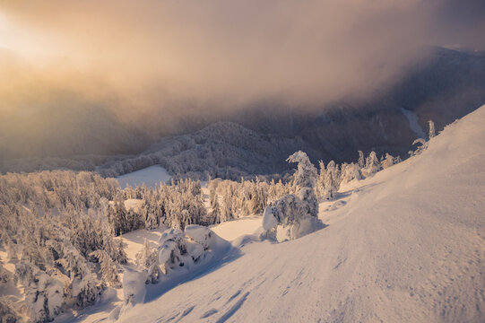View of Borisov peak surrounded by snow-covered trees and soft golden light in the Velka Fatra mountains, Zilina Region, Slovakia.