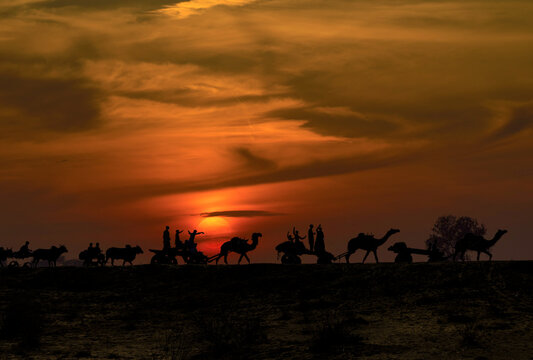 View of a camel caravan silhouetted against a vibrant sunset in the Rohi Desert, Yazman, Punjab, Pakistan.