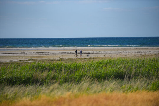 View of two people walking their dog along the sandy beach with tall grass in the foreground and the sea in the background in Bonnerup, Denmark.