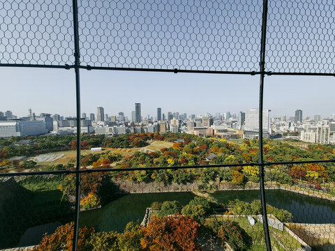 View of Osaka Castle park with vibrant autumn foliage, surrounding moats, and the modern city skyline in the background, seen through a wire mesh fence in Osaka, Osaka, Japan.