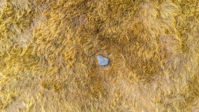 An aerial view looking down towards  the Judith Stone, a large glacial erratic block located in a ridge and furrow field in Lubenham, Leicestershire in summertime