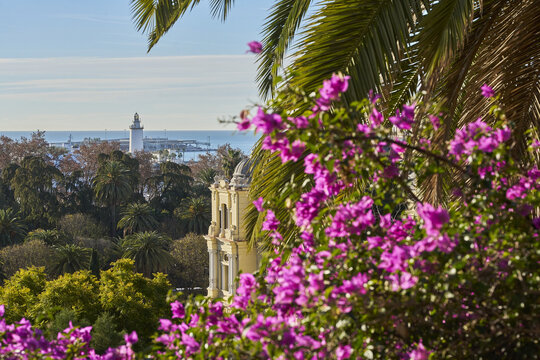 View of La Farola lighthouse seen through vibrant pink bougainvillea flowers and lush palm trees in a sunny park in Malaga, Andalusia, Spain.