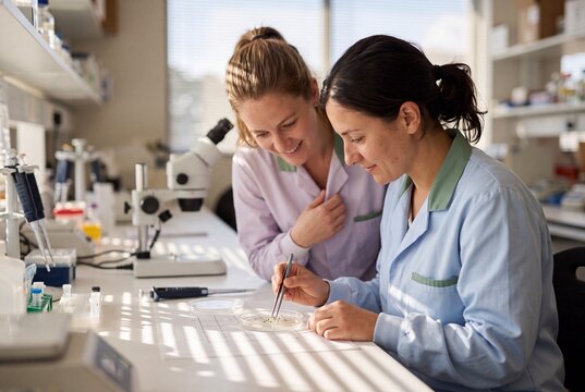 Two Female Scientists Collaborating on Biological Research with Petri Dish in Laboratory