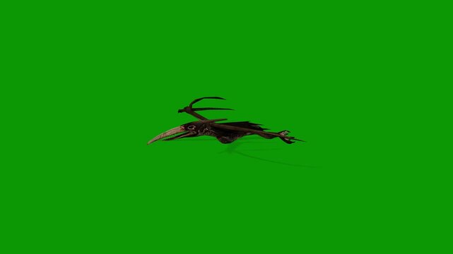3D Pterosaur Flying Left Side on Green Screen