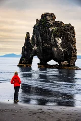 A visitor stands on a black sand beach, looking at Hvitserkur Rock, an iconic basalt formation in Iceland. The sky is overcast, creating a dramatic scene. © Kotangens