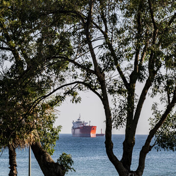 View of a large cargo ship sailing on the sea framed by tree branches in Istanbul, Istanbul, Turkiye.