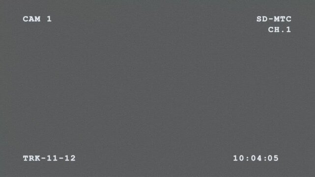 Retro VHS CRT Timecode Overlay with Scanlines and Magnetic Tape Tracking Glitch Animation