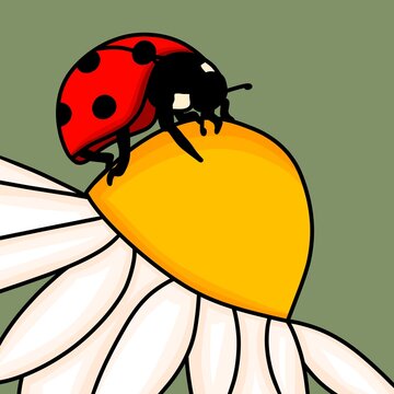 Cute red ladybug sitting on white daisy flower vector illustration. Hand drawn cartoon ladybird insect crawling on chamomile blossom for kids design, sticker, pattern, and icon.
