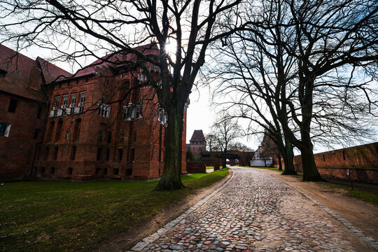 Malbork, Poland - 23 March 2026: View of Malbork Castle with its red brick walls, cobblestone path, and bare trees under a bright sky.
