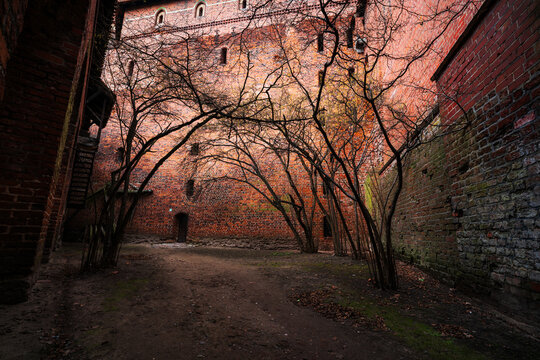 Malbork, Pomeranian Voivodeship, Poland - 23 March 2026: View of the historic brick walls and courtyard of Malbork Castle with bare trees in early spring.
