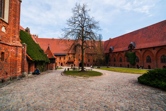 Malbork, Poland - 23 March 2026: View of Malbork Castle courtyard with its distinctive red brick architecture, cobblestone ground, and a central tree under a blue sky.