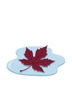 Hand-traced vector illustration of a burgundy hickory leaf floating on a small light blue water puddle, autumn nature icon with clean lines and minimalist design, seasonal foliage graphic