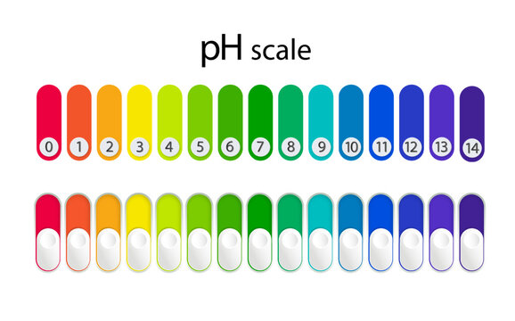 pH scale chart for acid and alkaline solutions. Acid-base balance infographic. Vector