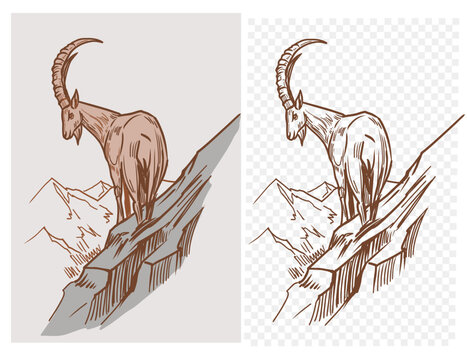 Mountain goat, ibex,  Hand drawn vector sketch illustration, outline