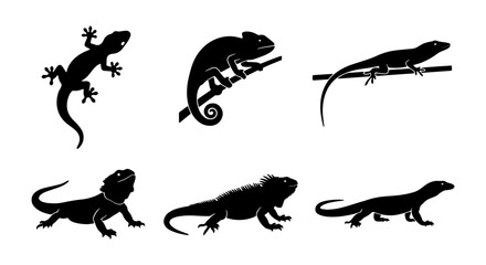 Obraz premium Six Silhouette Reptile Icons: Lizards, Geckos, Chameleons, Iguanas, Vector Graphics for Wildlife and Nature Designs